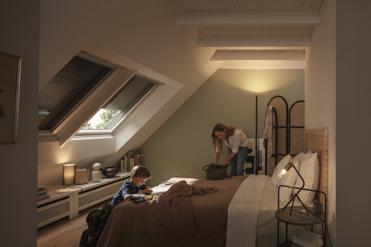 bigmat velux finestre solari