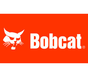 Bobcat